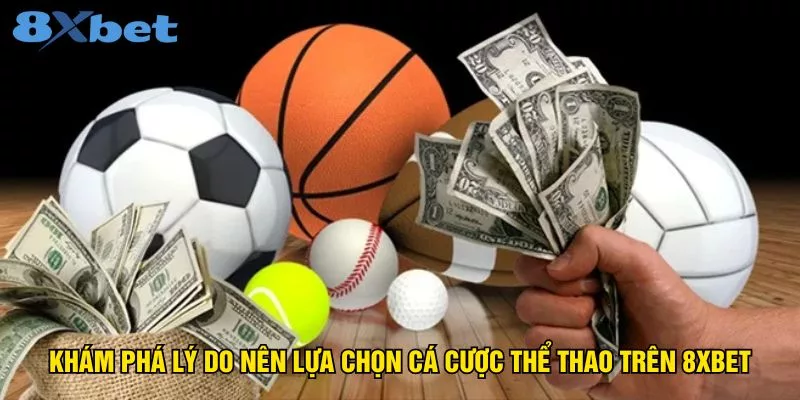kham-pha-ly-do-nen-lua-chon-ca-cuoc-the-thao-tren-8xbet